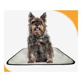 Tapetes Reutilizáveis Para Xixi E Uso De Cães 10un M 60x80cm