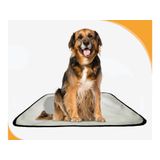 Banheiro Para Cães Higiênico Lavável 10 Un G - 90 X 100 Cm