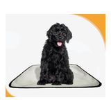 Banheiro Para Cães Higiênico Lavável 2 Un M - 60x80 Cm