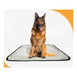 Tapete Pet Para Cães, Higiênico, Lavável, 5 Un G - 90x100 Cm