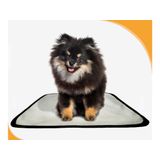Tapetes Higiênicos Pet Lavável Absorvente 1 Un P 50x60 Cm