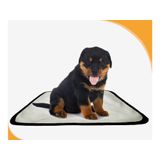 Tapete Dog Higiênico Lavável Absorvente 4 Un P - 50x60 Cm
