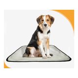 Tapetes Higiênicos Pet Lavável Absorvente 5 Un M - 60x80 Cm