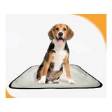 Tapete De Cuidados Para Cachorros - 10 Unidades M - 60x80 Cm