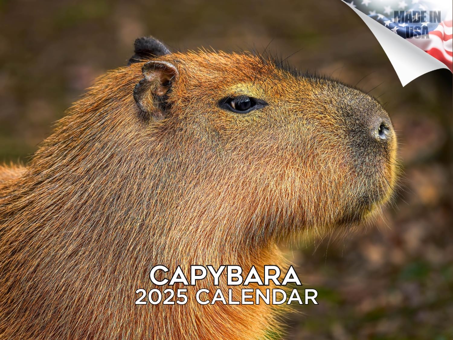 Calendário De Parede Megacalendars Capybara 2024 2025 Mensal