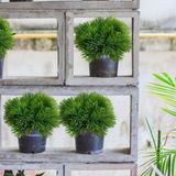 10 Buquês De Picks Artificiais Com 6 Hastes Cada Realistas Perfeito Para Decoração De Interiores