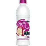 Cobertura Concentrado De Sorvete E Sobremesas Selecta 1,3kg - Cassis