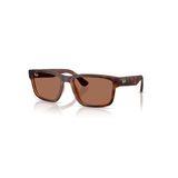 Oculos Solar Ray-ban Rb4438l 65647358