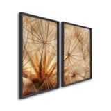 Quadro Decorativo Dente De Leão Marrom Com 2 Telas De Parede Para Sala Quarto Escritório 60cm X 90cm Sem Vidro Preto