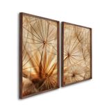 Quadro Decorativo Dente De Leão Marrom Com 2 Telas De Parede Para Sala Quarto Escritório 60cm X 90cm Com Vidro Marrom