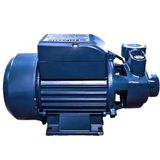 Bomba De Agua Periférica Empalux Bd10100 50l 1cv 127v