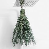 Caules Secos De Eucalipto Favowreath 17 Cm, 10 Unidades Para Decoração De Casa