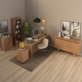 Kit 5 Peças Com Escrivaninha, Gaveteiro, Armário Multiuso Baixo, Estante E Balcão