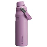 Garrafa De Água Stanley Iceflow Fast Flow 700ml Lilás