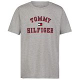 Camiseta Masculina Tommy Hilfiger De Manga Curta Cinza Varsity 14-16 Anos
