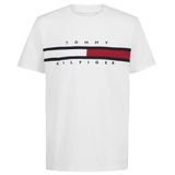 Camiseta Masculina De Manga Curta Tommy Hilfiger Com Bandeira De 5 Anos Branca