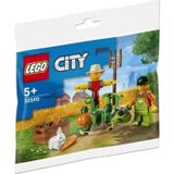 Brinquedo De Construção Lego City 30590 Farm Garden Com Espantalho