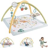 Baby Playmat Fisher-price Simply Senses Newborn Gym 0 Meses Ou Mais