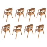 Kit 8 Cadeiras Para Mesa De Jantar Com Encosto Curvo Em Madeira Maciça Hibisco Caramelo