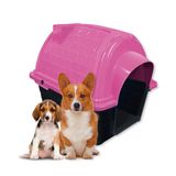 Casinha Pet Rosa Raça Média E Grande N5 Iglu Para Cachorros