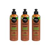Creme Pentear Salon Line 300ml Hidra 3em1 Óleo De Coco - 3un