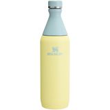 Garrafa De Água Stanley All Day Slim 600ml Em Aço Inoxidável Isolado