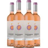 Vinho Rose Ciconia Alentejo 750ml Kit 4 Garrafas