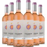 Kit 6 Garrafas Vinho Rose Ciconia Alentejo 750ml