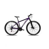 Bicicleta Aro 29 Absolute Nero 5 Alumínio 21v Freio A Disco Garfo Com Suspensão - Roxo Tam.17