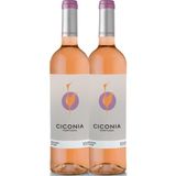 Kit 2 Garrafas Vinho Rose Ciconia Alentejo 750ml