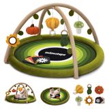 Baby Play Activity Gym Tummy Time Mat Verde Com 6 Brinquedos