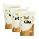Kit 3x: Farinha De Trigo Integral Orgânica Ecobio 500g