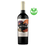 Vinho Tinto Vegano Tierra Telteca Cabernet Sauvignon 2021