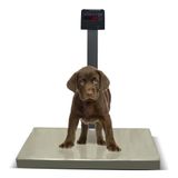 Balança Pet Digital 200kg/50g Pesadora Plataforma 50x80 Sem Bateria Ramuza