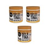 Gelatina Capilar Salon Line 550g Todecacho Nutritiva - 3un