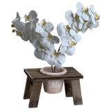 4 Folhagens Permanentes De Orquídeas Branca 80x12 Para Composições Em Salas E Eventos Refinados