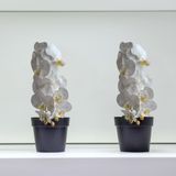 5 Hastes De Orquídeas Artificiais Branca 80x12 Realista Para Decorações De Mesas Em Festas E Casamentos