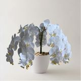 8 Flores Permanentes 80x12 - Haste De Orquídeas Phalaenopsis Realista Para Lavabos E Decorações Finas