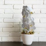 18 Hastes Com Flor De Orquídeas Branca Artificial Para Arranjos E Decorações Comerciais Sofisticadas