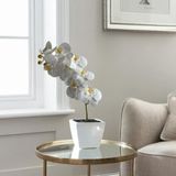 Flores De Orquídeas Artificiais Premium (12 Unidades) - Haste Decorativa Ideal Para Arranjos Modernos