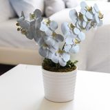 6 Folhagens Artificiais Decorativas - Orquídeas Branca Permanente Ideal Para Vasos E Arranjos Elegantes