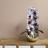 Orquídeas Brancas Permanente 1 Unidade - Ideal Para Decoração Artificial De Arranjos E Vasos Modernos