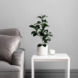 1 Haste De Folhagem Peperômia Artificial Realista Para Decoração Verde Com Aspecto Natural