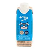 Cappuccino Com Whey Pronto Mu 250ml