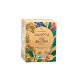 Cha Organico Boa Digestao Iamani 22 5g