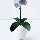 3 Folhas De Orquídeas Phalaenopsis Artificial Folhagem Realista Para Decoração Interna E Externa