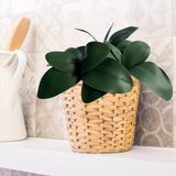 8 Folhas De Orquídeas Artificial (36x26) Folhagem Durável Para Decoração De Ambientes Modernos