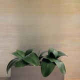 6 Folhagens De Orquídeas Phalaenopsis Artificial Plantas Realista Para Decoração De Interiores