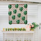12 Costelas De Adão Permanente Para Uma Decoração Elegante E Durável Em Ambientes Internos