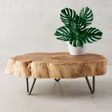 5 Folhagens Artificiais Costela De Adão Em Silicone Realista Para Decoração De Ambientes Modernos